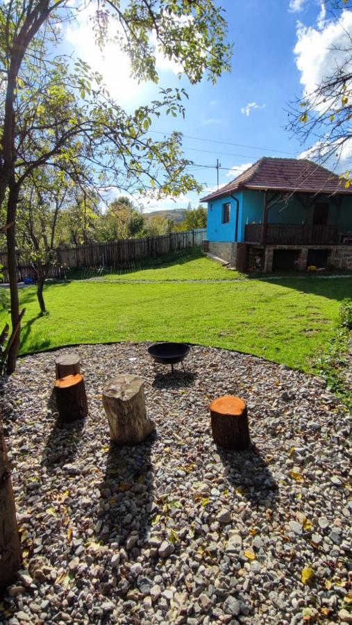 Vila La Casuta Fieni Exteriér fotografie