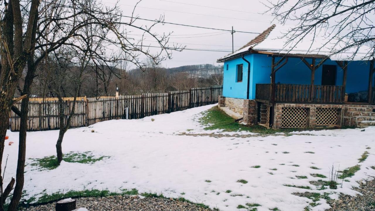 Vila La Casuta Fieni Exteriér fotografie